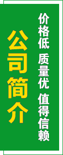 公司簡介